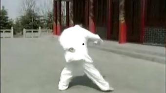 神虎术视频,揭秘古老武术奥秘，探寻东方武学精髓