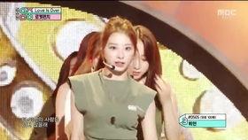 火箭拳视频,震撼视觉的极限格斗艺术揭秘