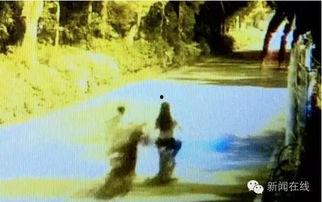 夜夜骑视频在线观看