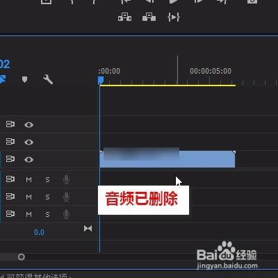 怎么把视频音乐去掉,保留精彩画面